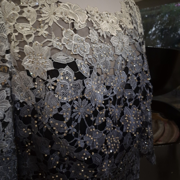 Elegant Lace Overlay Dress Plus Size Custom Wedding Mother Of Bride - Picture 7 of 11